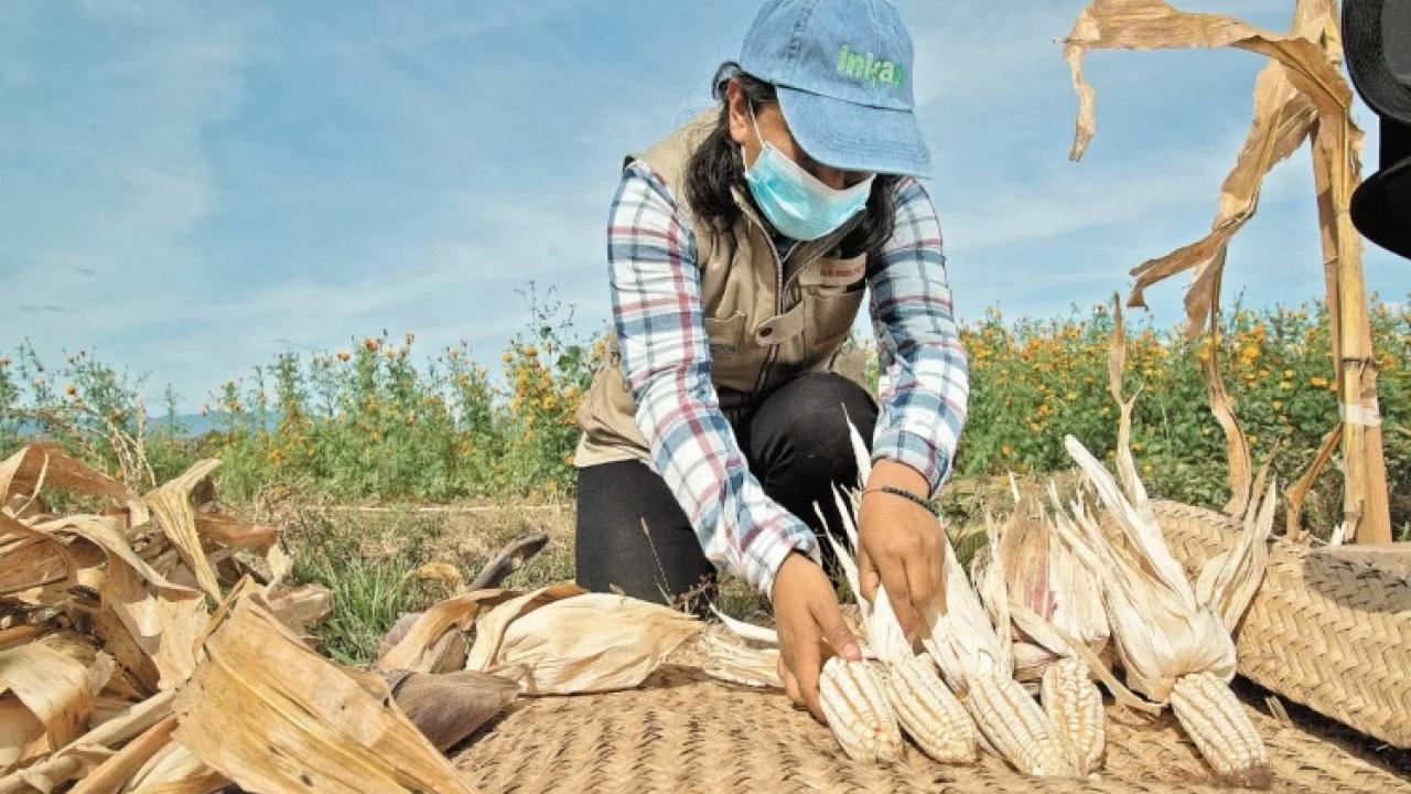 Golpe al sector agrícola: México oficializa desaparición de Financiera Nacional de Desarrollo