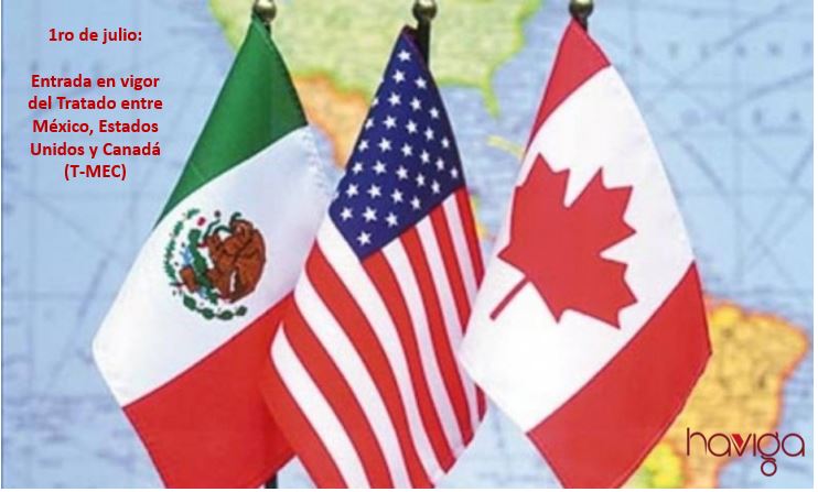 Hoy entra en vigor el Tratado entre México, Estados Unidos y Canadá (T-MEC)